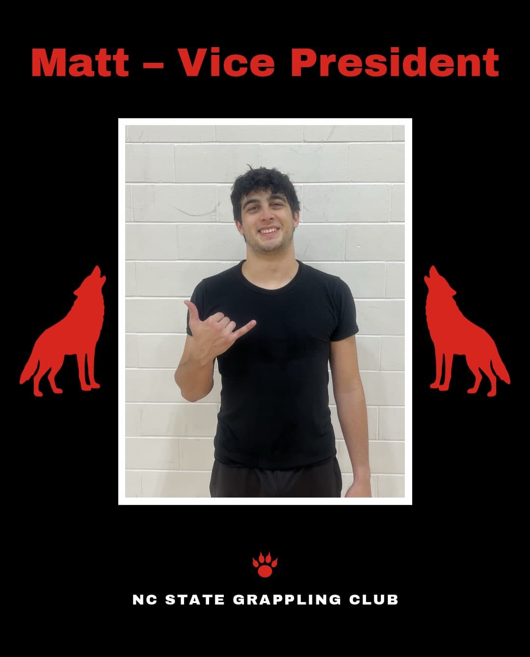 Matt, Vice president